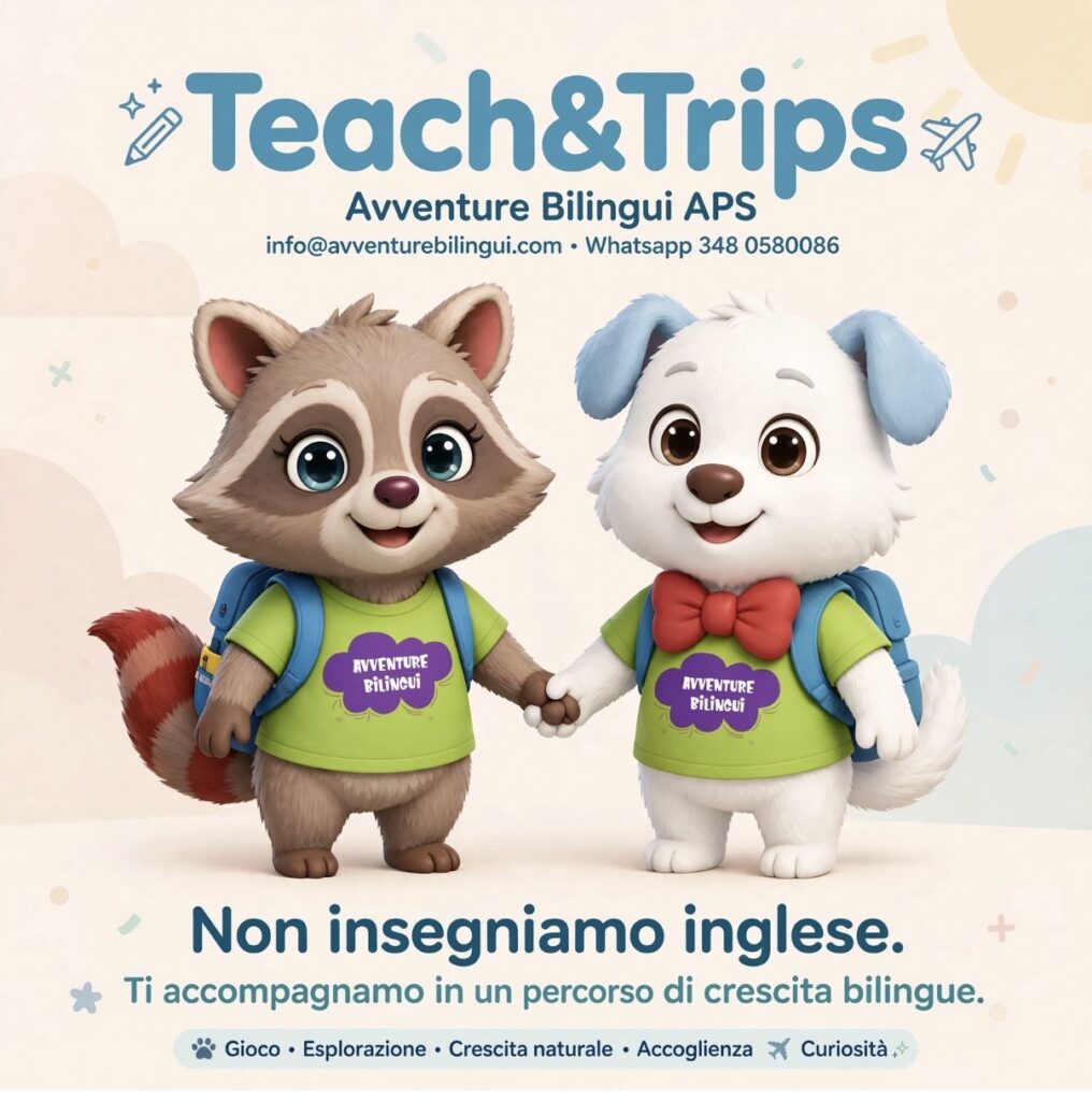 Non insegnamo inglese
